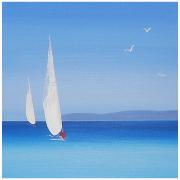 Voiles blanches 50x50 dany baumberger